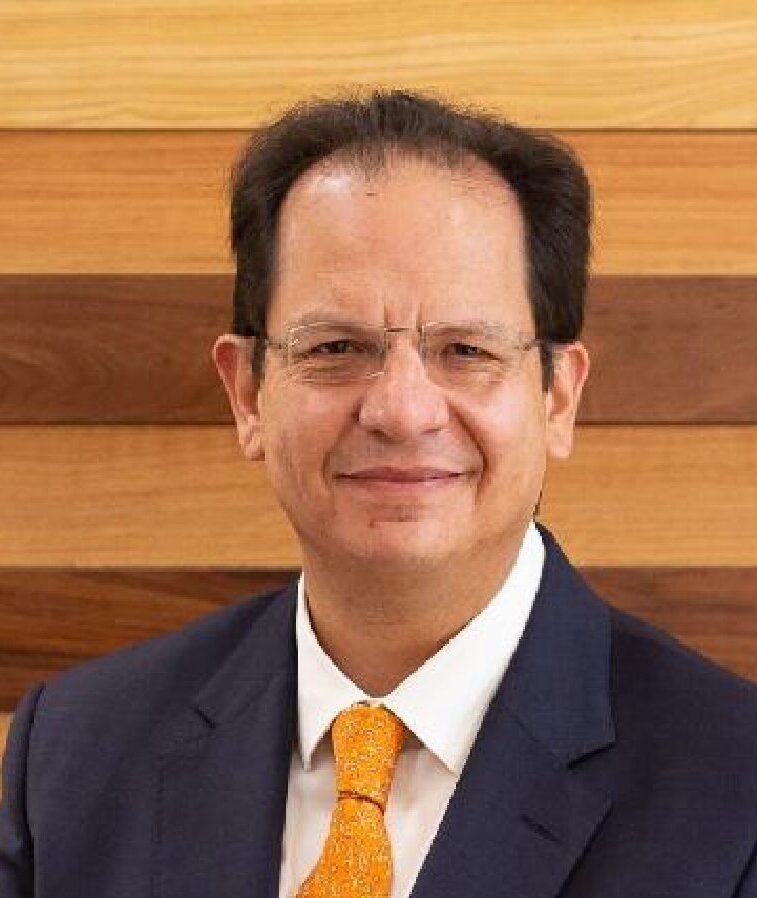 Director de la División de Estudios Sobre el Desarrollo del CIDE